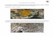 EL VOLCÀ DE LA CANYA - santjoanlesfonts · La informació d’aquest article ha estat compartida per l’autor de la visita el geòleg Llorenç Planagumà. Situació: 42.212080,