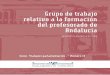 Grupo de Trabajo Formación Profesorado · Grupo de trabajo relativo a la formación del profesorado de Andalucía (BOPA núm. 528, de 27 de septiembre de 2010). 22 de septiembre