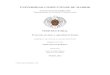 UNIVERSIDAD COMPLUTENSE DE MADRIDeprints.ucm.es/30768/1/T36145.pdf · Informática”, “Derecho de autodeterminación informativa” o “Derecho a la Intimidad Informática”)