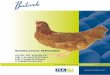 Guia de manejo de la nutricion Babcock brown · 2020-02-18 · A lo largo del periodo de las 10 a las 17 semanas es importante el desarrollo del sistema digestivo mediante el uso