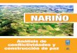 NARIÑO - United Nations Development Programme€¦ · 2.2 Conpes Rural Nariño: Política y estrategias para el desarrollo agropecuario del departamento 2.3. Planes de Salvaguarda