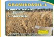 GRAMINOSOIL-LGRAMINOSOIL-LGRAMINOSOIL-L · Tratar la semilla con Graminosoil-L sin el agregado de agua, utilizando una máquina inoculadora especializada para el tratamiento de semillas