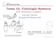 Tema 10. Fisiología Humanadpbiologia.weebly.com/uploads/2/1/5/5/...y_sinapsis_.curso_2016-18.… · de la membrana celular, teniendo el interior más cargas negativas que el exterior