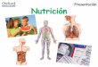 Presentación Nutrición · ¿Qué es el sistema circulatorio? 1. El corazón. actúa como una bomba. Tiene cuatro cámaras. Las dos de arriba se llaman. aurículos, y los dos de