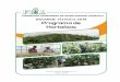 FUNDACIÓN HONDUREÑA DE INVESTIGACIÓN …...Informe Técnico 2019 Programa de Hortalizas iii Cuadro 18. Número de frutos y rendimiento comercial de cultivares de tomate tipo bola