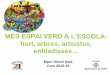 MÉS ESPAI VERD A L’ESCOLA - Lleida · –Estudi diferents comunitats vegetals i animals •Recurs pedagògic • Estudi fenòmens de la natura Més espai verd a l’escola: Avantatges