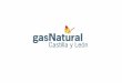 Gas Natural Castilla y León · 2020-05-27 · Distribución de gas natural en Castilla y León El éxito de la gasificación de la Comunidad se debe a: Distribución de gas natural