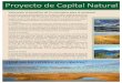 NatCap Brochure TRADUCCION(REVFIN)d2ouvy59p0dg6k.cloudfront.net/downloads/brochurenatcapwwf.pdfEl(Proyecto(de(Capital(Natural(371Serra(MallStanford(University((+1(650.725.1783(invest@naturalcapitalproject.org((((Herramientasdelosservicios