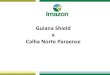 Guiana Shield x Calha Norte Paraense · Conselhos Consultivos (parceria com o Imaflora) Elaboração do Guia Formação dos Conselhos - Flota Faro: 14 conselheiros - Flota do Trombetas: