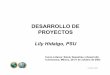 Desarrollo de Proyectos 1dia - DISASTER info · DESARROLLO DE PROYECTOS Lily Hidalgo, PSU Curso Lideres: Salud, Desastres y Desarrollo Cuernavaca, México, 20-31 de octubre de 2003