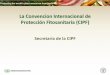 La Convencion Internacional de Protección Fitosanitaria (CIPF) · 2020-06-23 · Historia CIPF Original adoptada en 1951 Revisada en 1979 FAO responsable del reporte No funcionó