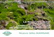 La Reserva Natural de Villavicencio certificó como humedal ...argentinambiental.com/wp-content/uploads/pdf/AA90... · 144 especies de aves y 216 especies de flora. Los patrimonios