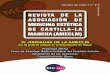 REVISTA DE LA ASOCIACIÓN DE MEDICINA ESTÉTICA DE CASTILLA-LA MANCHA …ameclm.org/wp-content/uploads/2015/06/Nº-8-OK.pdf · 2018-10-05 · castilla-la mancha (ameclm) 3 revista