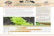 La Cultivación de Hortalizas en Oregón Hojas Verdes para ......Consejos de Jardinería Rápidos: 1 Fáciles de cultivar. Maduran rápidamente. Son excelentes para el inicio de la