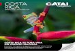 COSTA RICA - catalogosviajes.com · COSTA COSTA RICA ES PURA VIDA UN PARAÍSO NATURAL Descubre Tortuguero, las aguas termales del volcán Arenal, los puentes colgantes de Monteverde