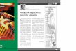 Recuperar al paciente: nuestro desaf™o - COFAservicios.cofa.org.ar/57.pdf · 2006-06-08 · el mercado m⁄s de 10.000 medicamen-tos que se expenden con prescripciŠn m”dica