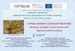 Almeja asiática (Corbicula fluminea) Murcia 2015.pdf · Objetivo y esquema de la ponencia • Objetivo: Ofrecer un conocimiento básico sobre la biología y ecología de la almeja