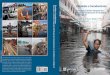 Ciudades e Inundaciones - World Bank...Bonos para catástrofes, México 48 Inundaciones en Colombia en el año 2011 49 Inundaciones repentinas y deslizamientos en Brasil 50 Control