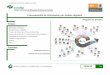 Procesamiento de información por medios digitales · Elaboración de documentos digitales avanzados Modelo Académico de Calidad para la Competitividad PIPM-03 4/28 Procesamiento