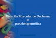 Distrofia Muscular de Duchenne - Bienvenidosbibliotecaitecponce.weebly.com/uploads/1/0/4/3/10432120/... · 2018-09-06 · Distrofia Muscular de Duchenne o pseudohipertrófica . Profa