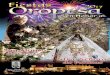 Fiestas de Oropesa 2017 - AYUNTAMIENTO OROPESA DE TOLEDO · Ya se acercan las fiestas de nuestros Santos Patronos: la Santísima Virgen de Peñitas y San Alonso. Y, ¡que gozada poder