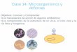 Clase 14: Microorganismos y defensas · Clase 14: Microorganismos y defensas Objetivos: Conocer y Comprender Los mecanismos de acción de algunos antibióticos. Los componentes de