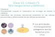 Clase 13: Unidad n°2 Microorganismos y defensas€¦ · Clase 13: Unidad n°2 Microorganismos y defensas Los principales microorganismos patógenos son las bacterias y los virus
