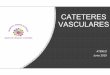 Cat.teres vasculares BIS Vasculares.pdf · Planes de hidratación ... Fluidoterapia y hemoderivados en forma rápida, Soluciones hiperosmolares Medicamentos irritantes NPT, QMT. Mideline