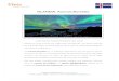 ISLANDIA: Auroras Boreales · - Las auroras boreales son un auténtico espectáculo que hay que ver mínimo una vez en la vida, y si se puede disfrutar de este fenómeno de la naturaleza