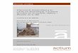 Intervenció arqueològica al carrer de Montalegre, 6-8 ...cartaarqueologica.bcn.cat/Docs/384/2010_05_13_11_45... · C. de Montalegre, 6-8 (Nova Facultat de Geografia, Història i