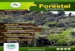 Revista Forestal de Guatemalasifgua.org.gt/Biblioteca/Revistas/pdf/revistaforestalgu...de Totonicapán, de los 48 cantones y de las parcialidades que han establecido organizaciones