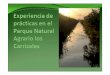 Experiencia en Carrizales...Ppt0000013 [Sólo lectura] Author equilibra Created Date 10/2/2012 2:13:47 PM Keywords () 