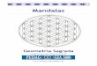 Mandalas - pedagooogia3000.info€¦ · Geometría Sagrada . Mandalas El mandala es un arte milenario que permite por medio de un soporte gráfico llegar a la relajación, la concentra-ción
