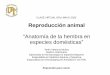 Reproducción animal · 2020-06-02 · Aparato reproductor de la hembra, Departamento de Producción Animal y Pasturas Grupo Disciplinario Fisiología y Reproducción, Dr. Carlos