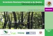 Consejo Nacional Forestal€¦ · • Transferencia del Inventario Nacional Forestal y de Suelos de la SEMARNAT a la CONAFOR (febrero 2004). • Documento Estratégico Rector del
