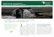 Conflictos socioambientales del agua y COVID-19 L · el sitio web Environmental Justice Atlas identifica más de 650 conflictos vinculados al agua, que equivalen al 20% del total