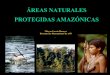 ÁREAS NATURALES PROTEGIDAS AMAZÓNICASMARCO LEGAL E INSTITUCIONAL DE LAS ÁREAS NATURALES PROTEGIDAS El Sistema Nacional de Áreas Naturales Protegidas por ... Biológica del SINANPE