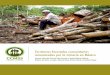 Territorios forestales comunitarios amenazados por la ...€¦ · Territorios forestales comunitarios amenazados por la minería en México Autores: Marcela Ximena Ortíz Aranda y