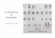 La Sindrome di Klinefelter · Klinefelter Syndrome - A Clinical Update C l i n i c a l R e v i e w Kristian A. Groth et al, J Clin Endocrinol Metab 98: 20–30, 2013 Gli adulti KS