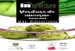 Verdura de invierno - Tudela · Exposición: Apertura de la exposición de fotos del “reto Inverduras” de Fototuit Ribera en el quiosco de la Plaza Nueva. (Correspondiente al