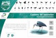 Marzolino/Shutterstock.com Carrera de zancudaseduca.seo.org/wp-content/uploads/2016/01/Ficha_zancudas.pdf · las aves zancudas que lo habitan. Contenidos a tratar • Entender las