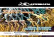 Natura antzeratzen ARRANTZA TEKNIKAK · AzterkostA Monografikoak / Monográficos 4. alea / 2011 Natura antzeratzen ARRANTZA TEKNIKAK Imitando a la Naturaleza TÉCNICAS DE PESCA Aztertu