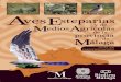 AvesEsteparias - Malagastatic.malaga.es/malaga/subidas/archivos/0/7/arc_319770_v2.pdf · ardeidas, aves zancudas con largos cuellos y picos como la garcilla bueyera; aves rapaces