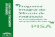 Programa Integral de Silicosis de Andalucía · la forma más común, otras formas también habituales son la cristobalita (Nº CAS: 14464‐ 46‐1) y la tridimita (Nº CAS: 15468‐32‐3)
