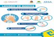 LAVADO DE MANOS - Quintana Roo · LAVADO DE MANOS Usa jabón, de preferencia líquido, 1 ó jabón de pasta en trozos pequeños Talla enérgicamente las palmas, 2 el dorso y entre