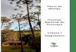 Plano de Manejo Floresta Nacional de Assungui Volume I ...€¦ · DER Departamento de Estradas de Rodagem EMATER Empresa de Assistência Técnica e Extensão Rural EMBRAPA Empresa