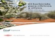 El herbicida para cítricos y olivos - catálogo · 2019-03-13 · Pamplinas Cachurros, abrojos Convolvulus arvensis Cyperus rotundus Datura stramonium Euphorbia sp. Foeniculum Picris