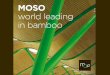 MOSO Bamboo, el nuevo - Dicapsadicapsa.com.mx/fichas/SP_2015_MOSO_Presentacion_AR... · MOSO Bamboo, el nuevo producto de edificación sostenible para interior y exterior . 1. Acerca