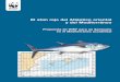 El atún rojo del Atlántico oriental y del Mediterráneo€¦ · Presentación 3 Antecedentes 4 Propuestas de WWF 5 Capítulo I El atún rojo del Atlántico y del Mediterráneo 1.1