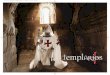catalogo templarios:Maquetación 1 24/8/06 11:20 Página 1 · Templar Banner MF 1527.1 MF 1530.1 ORDER OF THE KNIGHTS OF St. JAMES Following the example of the templar knights, about